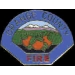 ORANGE COUNTY, CA OLD STYLE FIRE DEPART PIN OVAL MINI PATCH PINS